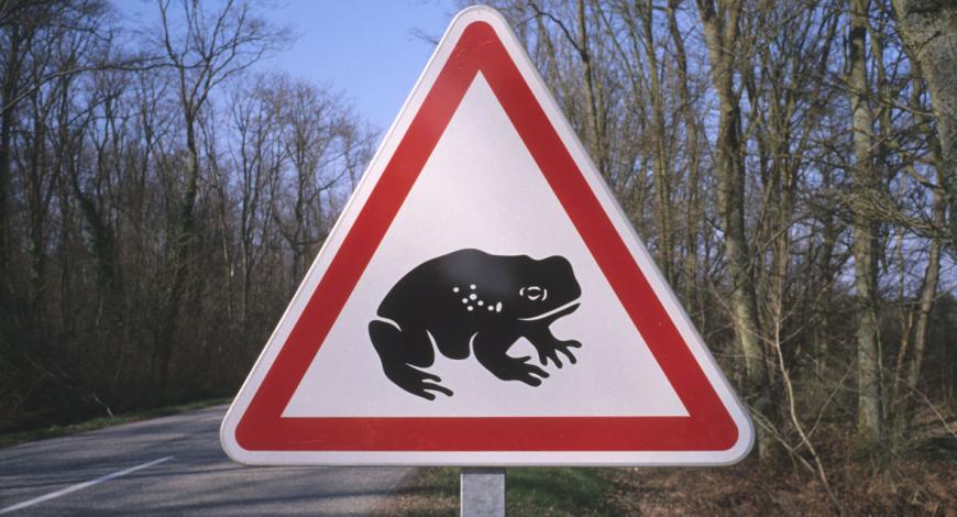 Ouverture de l’appel à projets du prix IMBP 2026, organisé par l’Idrrim-Piarc France