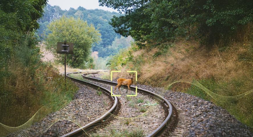 Grâce une technologie développée par Alstom et Flox Intelligence, l’IA repère la présence d’animaux et active des dispositifs de dissuasion adaptés pour garantir leur éloignement des rails