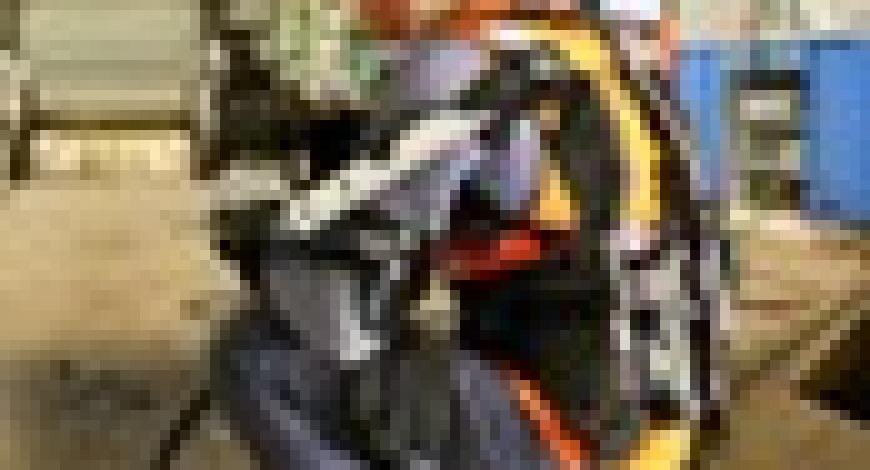 exosquelette exosquelette