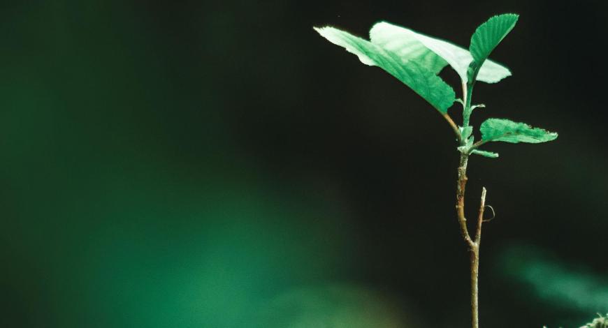 Projet de plan national de restauration de la nature. © Ministère de la Transition écologique