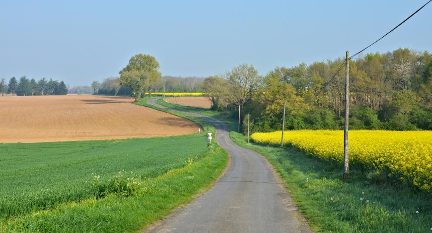 France Mobilités organise, le 2 juin 2025, une rencontre nationale consacrée aux mobilités rurales