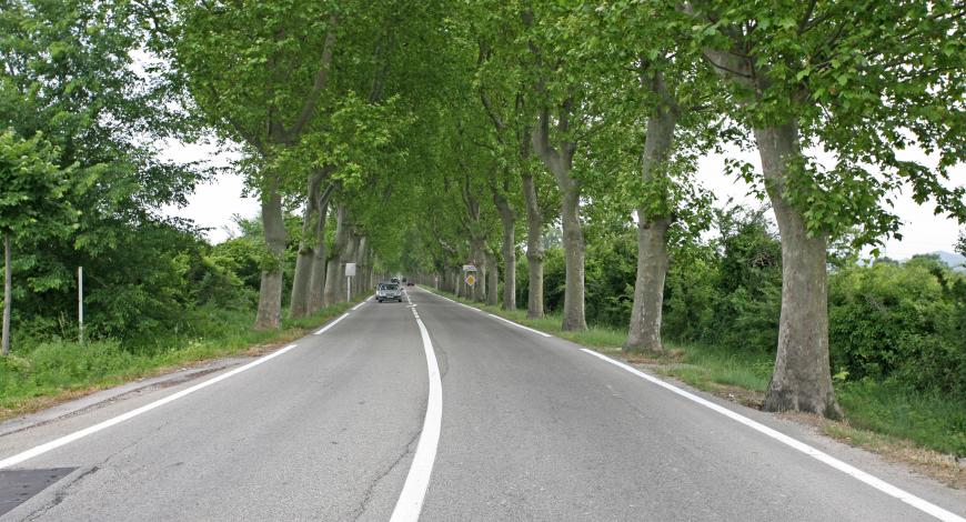 Route à la sortie de Lamotte-du-Rhône (Vaucluse)