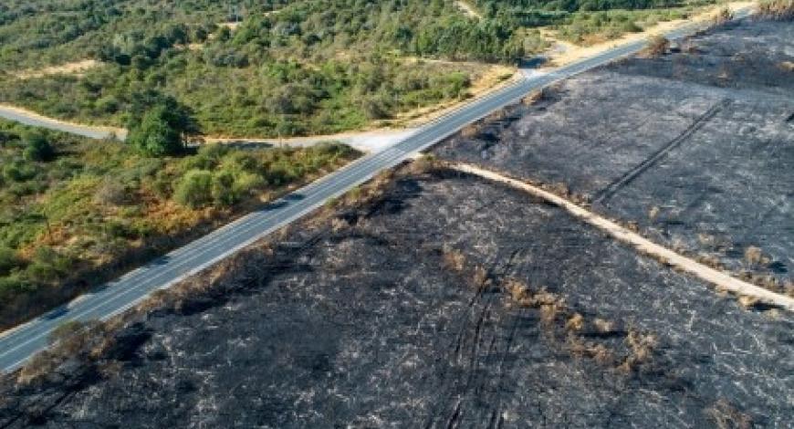 Vialytics offre sa plateforme de gestion de voirie aux collectivités sinistrées par les incendies