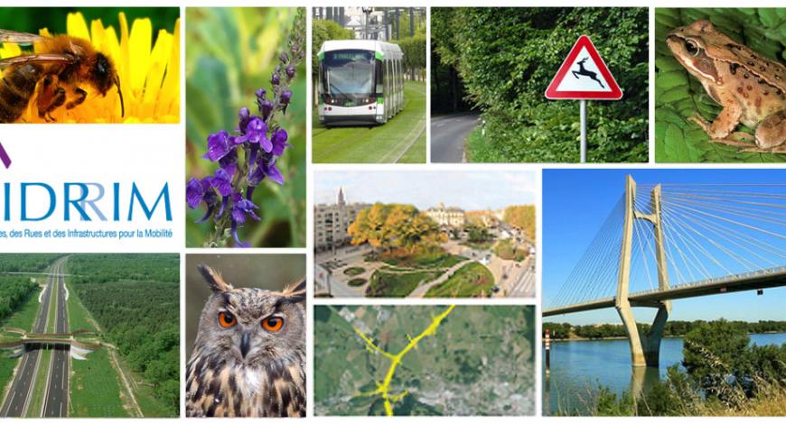 Le prix Infrastructures pour la mobilité,  la biodiversité et le paysage (IMBP), organisé par l'Idrrim. 