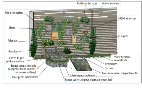 L’écoconception d’un écran acoustique en faveur de la biodiversité (côté Drac).