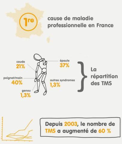 Les principales TMS en France.