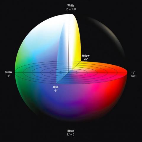 Représentation schématique de l’espace L*a*b*