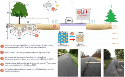 Impacts et conséquences des sécheresses sur les routes. Impacts et conséquences des sécheresses sur les routes.