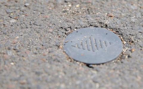 Installés dans la chaussée de plusieurs rues d’Issy-les-Moulineaux, des capteurs signalent en temps réel les places de stationnement disponibles.