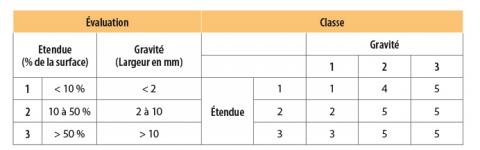 Critères de notation du faïençage.