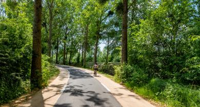Enrobé Vegeroad : pour une mobilité décarbonée
