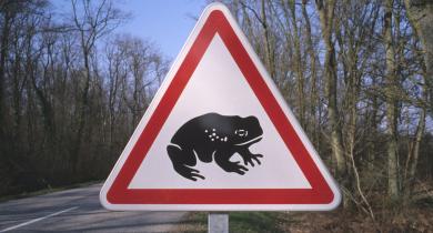 Ouverture de l’appel à projets du prix IMBP 2026, organisé par l’Idrrim-Piarc France