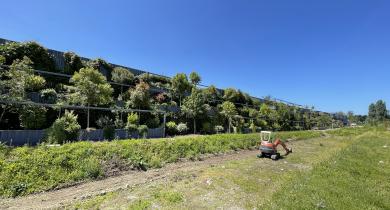 Mur végétalisé sur 400 mètres linéaires et 10 m de haut à Bordeaux.