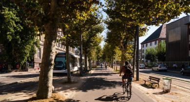 La 6e édition des Journées européennes de la mobilité auront pour thème « Mobilités dans les territoires : le défi de la demande »