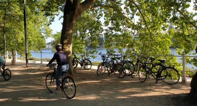 Vélos au parc Kennedy à Vichy